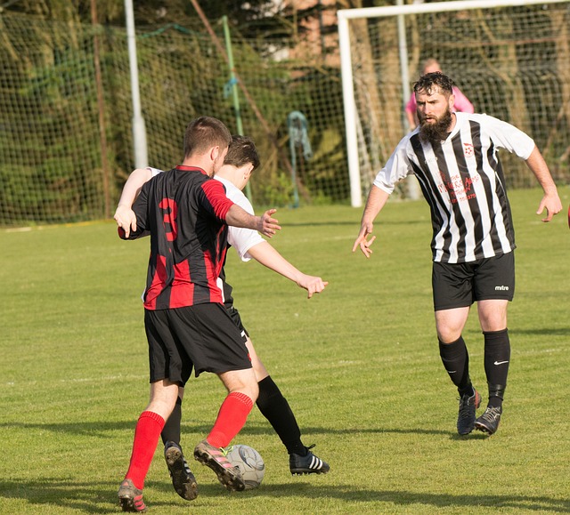 豪车与普通 豪车与普通