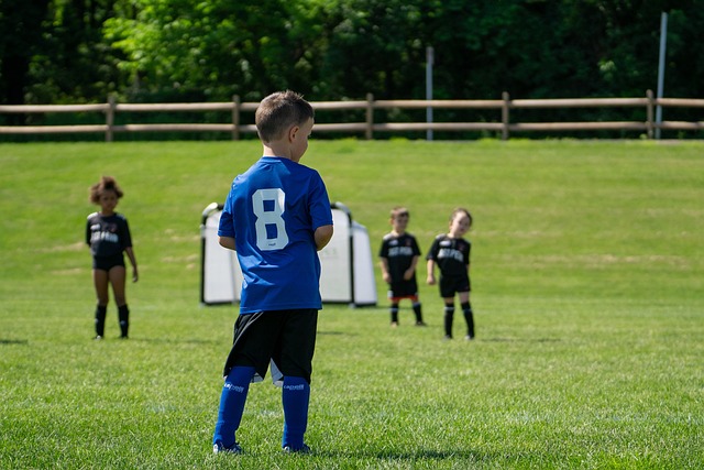 球未来的长 球未来的长
