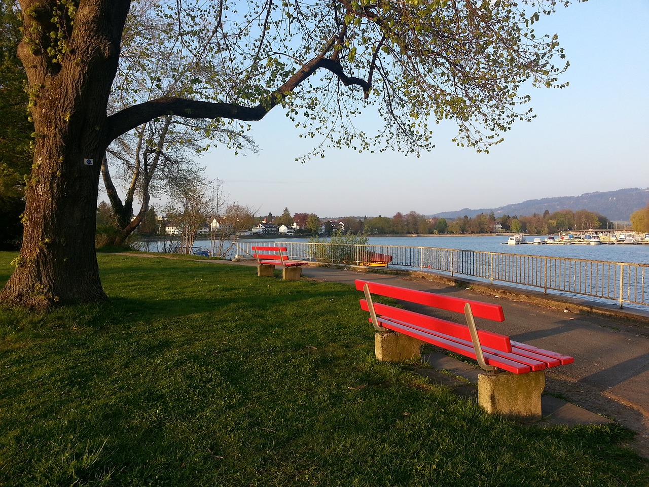 见证了NB 见证了NB