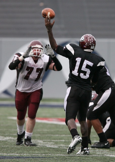 巧和激励机 巧和激励机